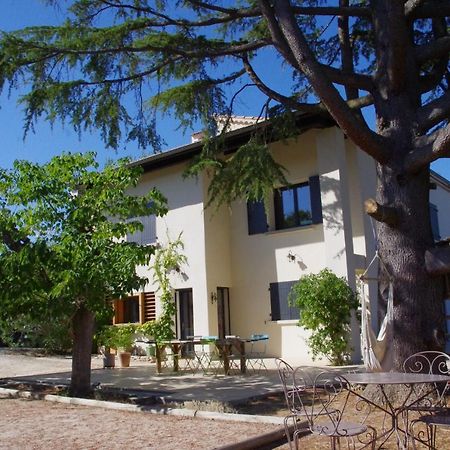 Bourg-Saint-Andéol Le Grand Cedre - 2 Chambres D'Hotes - Sud Ardeche المظهر الخارجي الصورة