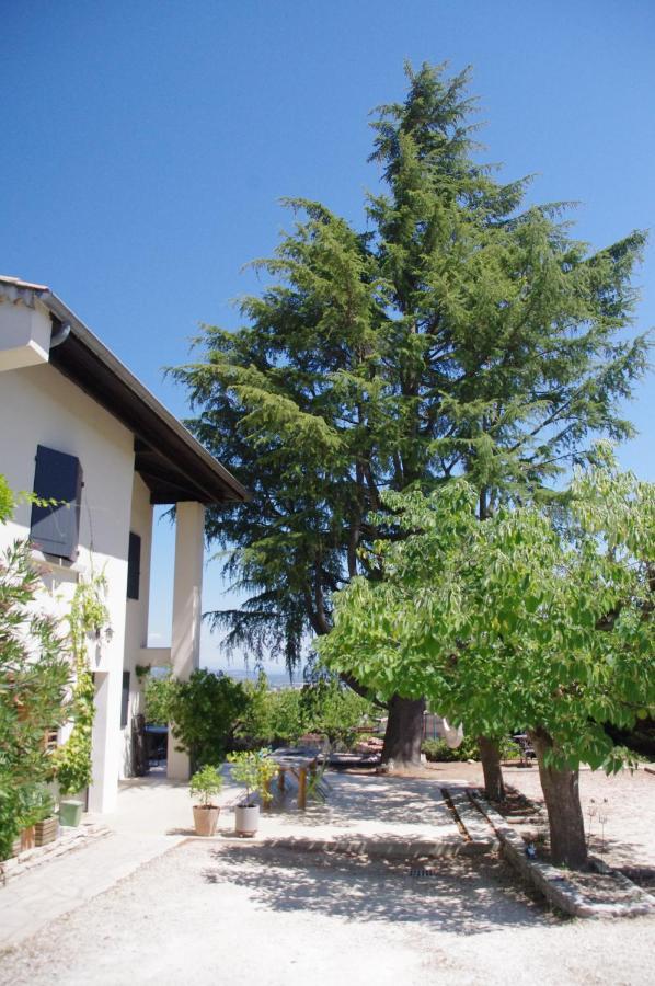 Bourg-Saint-Andéol Le Grand Cedre - 2 Chambres D'Hotes - Sud Ardeche المظهر الخارجي الصورة
