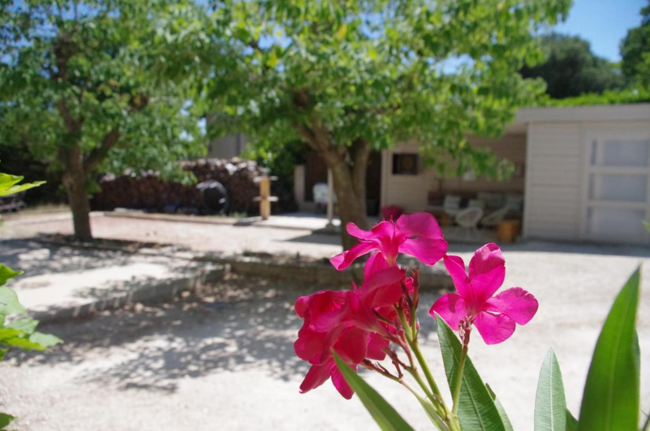 Bourg-Saint-Andéol Le Grand Cedre - 2 Chambres D'Hotes - Sud Ardeche المظهر الخارجي الصورة